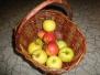 Košík plný ovoce