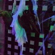 DSC01098
