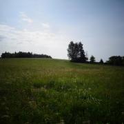 DSC04207