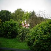 DSC04019