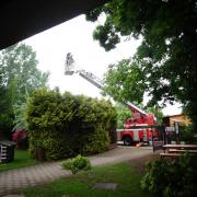 DSC04137